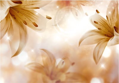 Fotobehangkoning - Behang - Vliesbehang - Fotobehang Bloemen in Zonlicht - 150 x 105 cm
