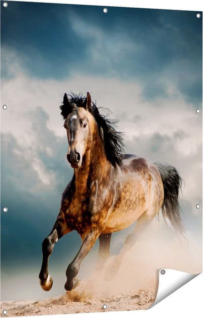 Gards Tuinposter Wilde Paard in het Zand - 90x120 cm - Tuindoek - Tuindecoratie - Wanddecoratie buiten - Tuinschilderij
