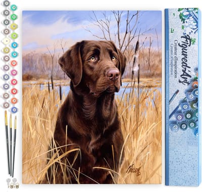 Figured'Art Schilderen op Nummer Volwassenen canvas Labrador - Handwerk acrylverf Kit DIY Compleet - 40x50cm zonder frame