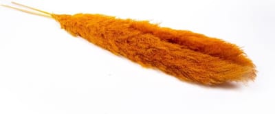 Gedroogd Pampasgras - Boeket Droogboeket - Interieur Decoratie - Met Pluimen - 140 cm - Oranje