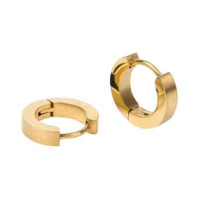 Kalli Oorringen Edelstaal Mat Goud 1850 (14mm)
