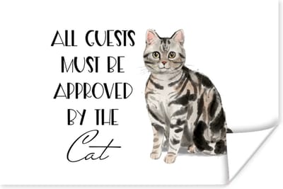 Poster Spreuken - Quotes - Kat - All guests must be approved by the cat - 180x120 cm XXL