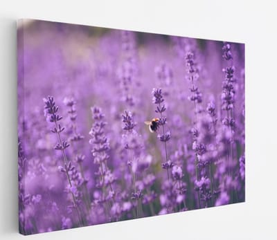 Saammp Canvas Schilderij - bij op lavendelbloem - Landschap - Natuur - 45x30 - Foto op canvas - Wanddecoratie - Muurdecoratie Woonkamer - Slaapkamer decoratie - Canvas Print