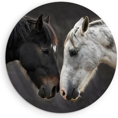 Saammp Muurcirkel Hout - 2 Paarden - Liefdevol - Dieren - Natuur - Ø 90 - Wandcirkel - Wanddecoratie Cirkel - muurdecoratie Woonkamer - Slaapkamer decoratie - Rond Schilderij