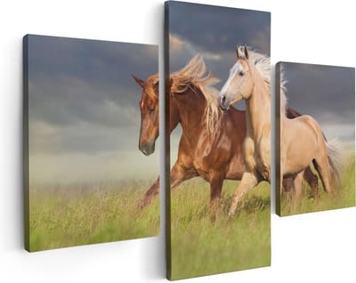Artaza Canvas Schilderij Drieluik Bruin En Wit Paard In De Wei - 90x60 - Foto Op Canvas - Canvas Print