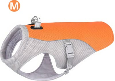 Bovista Koelvest Hond - Koelvesten - Verkoeling - Honden Kleding - Hondenkleding - Duurzaam - Oranje - Maat M