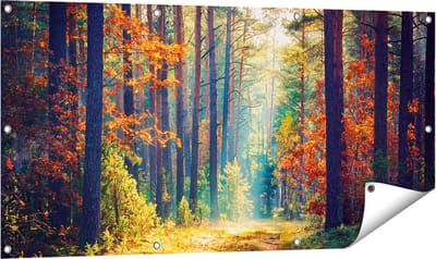 Gards Tuinposter Herfstbos met Zonneschijn - Kleur - 120x60 cm - Tuindoek - Tuindecoratie - Wanddecoratie buiten - Tuinschilderij