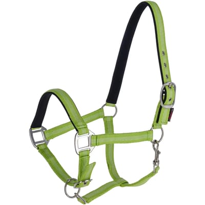 Halster voor paarden Kerbl Mustang