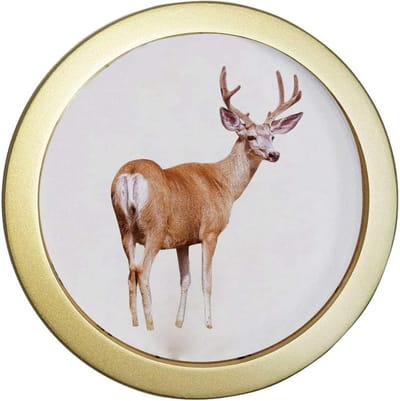 Dailygoods- Fotolijst Ronde Houten - Wanddecoratie Woonkamer - Fotolijst 15,2 cm - Fotolijsten - Muurdecoratie - Schokbestendig en Waterdicht