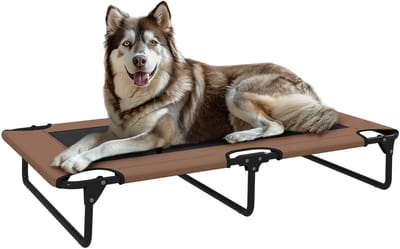 PawHut Erhöhtes Hundebett klappbar Haustierbett, Outdoor Hundeliege mit Netzdesign, Atmungsaktiv, für große Hunde Braun Oxford 107 x 61 x 20 cm