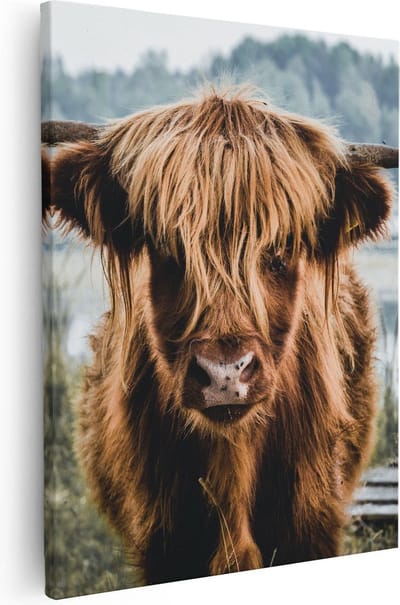 Artaza Canvas Schilderij Hooglander - 40x50 cm - Canvas Schilderijen Woonkamer - Muurdecoratie Natuur - Kamer Accessoires