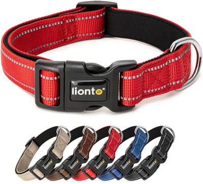 lionto reflecterende hondenhalsband, verstelbaar 20-30 cm XS rood