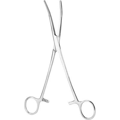 Roestvrij Staal Gebogen Punt Hemostatische Reinigingsklem Tang Huisdier Hond Kat Haar Pincet 20cm