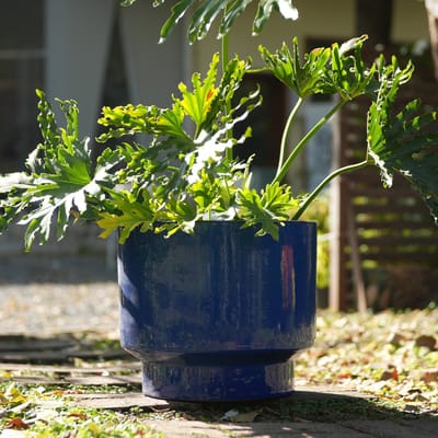MIVRAY Bloempot – Met Afwateringsgat – Keramiek – Blauw – Voor Binnen en Buiten – Vorstbestendig en Slijtvast