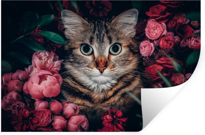 Muurstickers - Sticker Folie - Kat - Bloemen - Dieren - Botanisch - 30x20 cm - Plakfolie - Muurstickers Kinderkamer - Zelfklevend Behang - Zelfklevend behangpapier - Stickerfolie