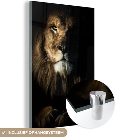 Glasschilderij leeuw - Dieren - Portret - Zwart - Glazen decoratie - Glasplaat - Woonkamer decoratie - Muurdecoratie glas - 100x150 cm - Foto op glas - Schilderij glas - Glasschilderijen