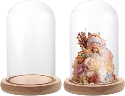 Glazen Koepel met Houten Basis, 9 x 15 cm, Borosilicaatglas, Stofdichte Display Case voor Sieraden, Bloemen en Figuren