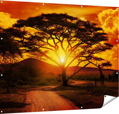 Gards Tuinposter Zonsondergang Achter een Savanne Boom - 150x120 cm - Tuindoek - Tuindecoratie - Wanddecoratie buiten - Tuinschilderij