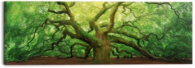 Schilderij Oude eik - 40 x 118 - Hout - REINDERS