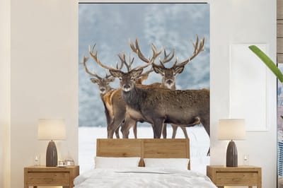Behang - Fotobehang Hert - Dieren - Sneeuw - Winter - Landschap - Natuur - Breedte 225 cm x hoogte 350 cm