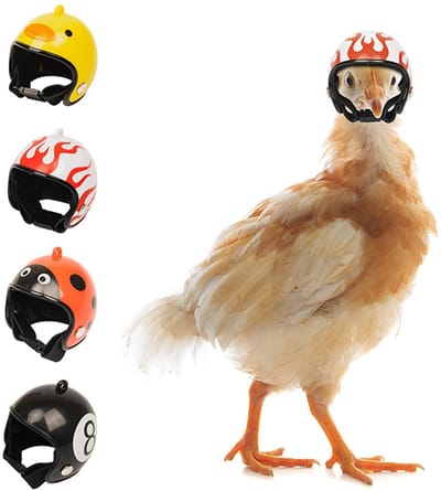 Vierdelige set kippenhelm - grappige vogelhoofdbescherming - leuke vogelmuts - praktische bescherming voor kippen en andere vogels
