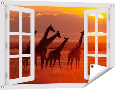 Gards Tuinposter Doorkijk Giraffe Kudde bij Zonsondergang - 90x60 cm - Tuindoek - Tuindecoratie - Wanddecoratie buiten - Tuinschilderij