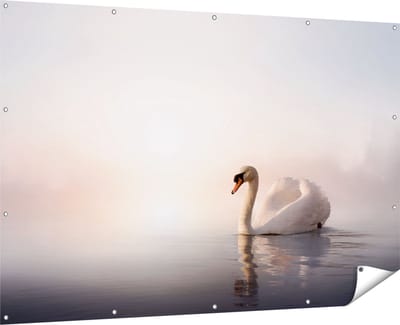 Gards Tuinposter Zwaan in het Water tijdens de Mist - 180x120 cm - Tuindoek - Tuindecoratie - Wanddecoratie buiten - Tuinschilderij