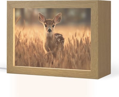 Nachtlampje 20x15 cm - Kinder lampje - Hert - Graanveld - Bruin - Tafellamp kinderkamer - Slaapkamer lamp - Bedlamp kinderen - Kinderlampje stopcontact - Wandlamp babykamer - Nachtlampjes