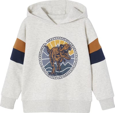 Vertbaudet Grafische hoodie met colorblock mouwen voor jongens