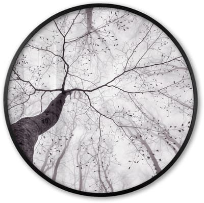 Poster in lijst Rond - Fotolijst 60x60 cm - Posters - Boom - Takken - Bladeren - Mist - Ronde posterlijst zwart - Decoratie - Wanddecoratie woonkamer - Muurdecoratie slaapkamer