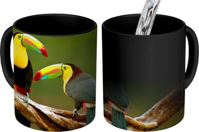 Magische Mok - Foto op Warmte Mokken - Koffiemok - Vogels - Toekan - Tak - Dieren - Regenboog - Magic Mok - Beker - 350 ML - Theemok
