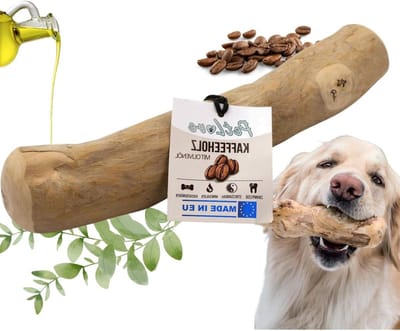 Duurzaam Koffiehout Kauwbot voor Grote Honden • Natuurlijk Tandverzorgingsspeelgoed