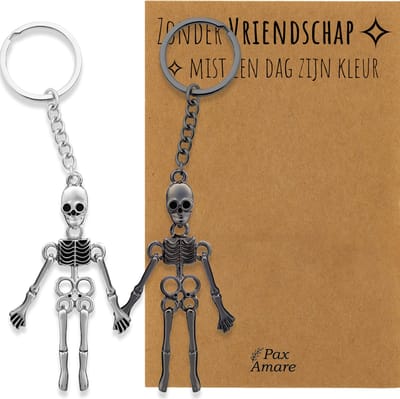 BFF Sleutelhanger voor 2 'Zonder Vriendschap mist een dag zijn kleur' - Magnetische Skeletjes - Sleutelhanger set op Cadeau Kaartje - Zilverkleurig & Zwart - Vriendschap Symbool - Pax Amare
