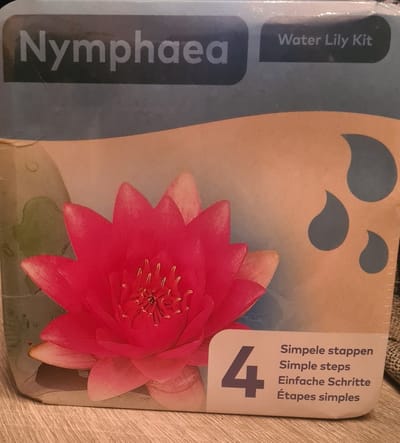 Moerings - Droogverpakking vijverplant - Nymphaea waterlelie Rood
