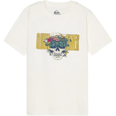 Quiksilver Paradise Point T-shirt Met Korte Mouwen Wit 14 Years Jongen