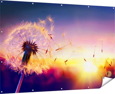 Gards Tuinposter Paardenbloem tijdens Zonsondergang - 180x120 cm - Tuindoek - Tuindecoratie - Wanddecoratie buiten - Tuinschilderij