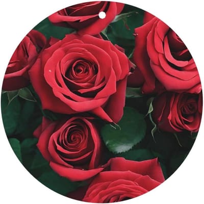 Luchtverfrisser Kaarten - Geurende Papier - Ruimte Verfrissen - Langdurige Geur - Set Van 6 - Rood