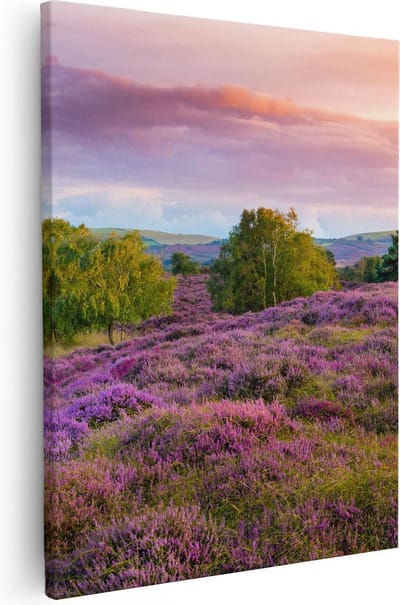 Artaza Canvas Schilderij Heide - 40x50 cm - Wanddecoratie Landschap - Muurdecoratie Bos - Kamer Accessoires Natuur