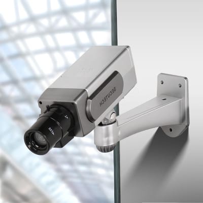 Dailygoody - Rotatable Dummy Camera - Realistische Neppcamera voor Binnen en Buiten met Flits LED