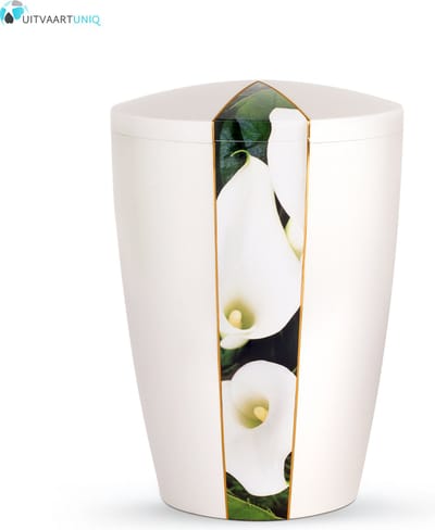 Urn wit parlemoer calla - bio