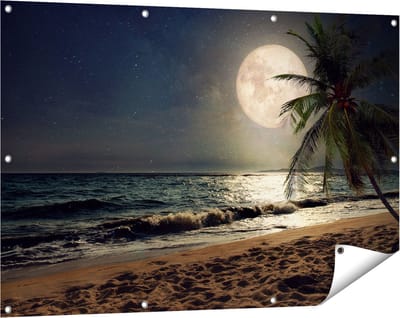 Gards Tuinposter Tropisch Strand in de Nacht met Volle Maan - 120x80 cm - Tuindoek - Tuindecoratie - Wanddecoratie buiten - Tuinschilderij