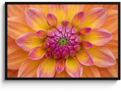 Poster in lijst - Fotolijst 120x80 cm - Posters - Dahlia - Bloem - Oranje - Posterlijst zwart - Decoratie - Wanddecoratie woonkamer - Muurdecoratie slaapkamer
