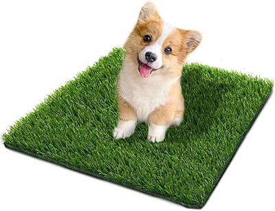 hondentoilet- hondentoilet kunstgras- Kunstgras voor honden - Professioneel apparaat voor zindelijkheidstraining van puppy's - en buitengebruik - Hondentraining - Vloerbescherming - Toiletmat voor huisdieren (groen - Eén verpakking - 56*60cm)