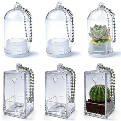Dailygoods- Mini Vazen 6 Stuks - Transparante Kunststof - Sleutelhangers - Decoratieve Plantenbakken - DIY Bloempot - Perfect voor Miniatuurplanten - Plantenpot