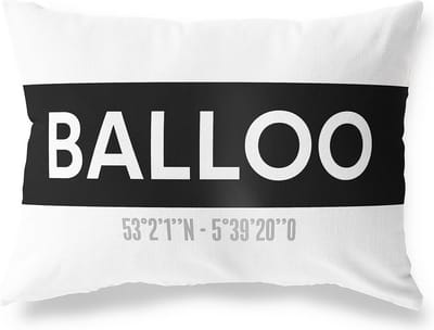 Tuinkussen BALLOO - DRENTHE met coördinaten - Buitenkussen - Bootkussen - Weerbestendig - Jouw Plaats - Studio216 - Modern - Zwart-Wit - 50x30cm