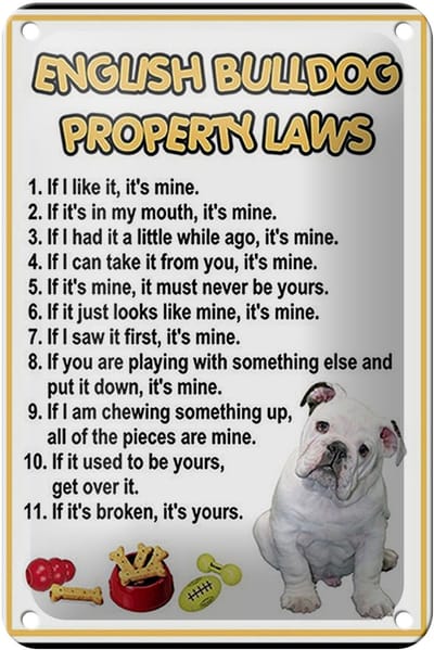 Blechschild Spruch 12x18cm english bulldog property laws