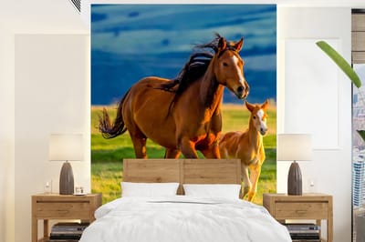 Behang kinderkamer - Fotobehang Paarden - Gras - Dieren - Landschap - Natuur - Breedte 165 cm x hoogte 220 cm - Kinderbehang