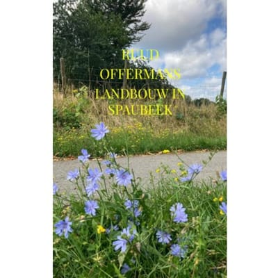 Landbouw In Spaubeek - Ruud Offermans