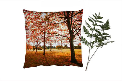 Sierkussens - Kussentjes Woonkamer - 40x40 cm - Herfst - Herfstbladeren - Natuur