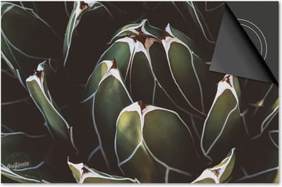 Inductie beschermer 60x60 - afdekplaat inductie mat - Dietrix Kookplaat beschermer - Exclusief - Leaves - 21 Wit en groene plant